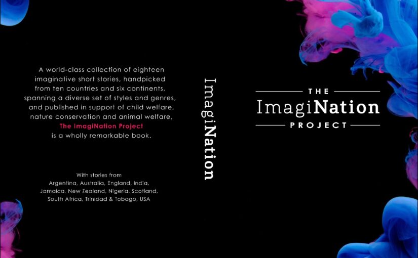 Buy a gift for a cause this season – The ImagiNation Project Book